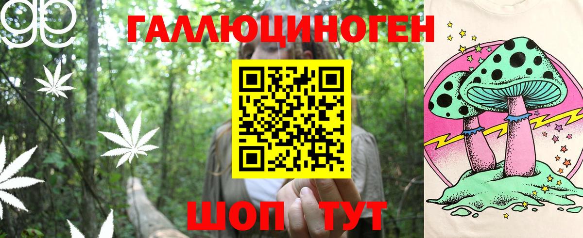 Псилоцибиновые грибы Psilocybe Советский