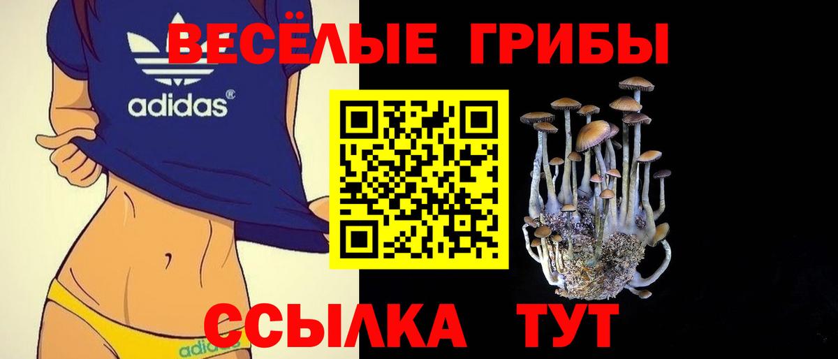 Псилоцибиновые грибы Magic Shrooms  Вход с VPN  Галлюциногенные грибы ЛСД  Советский 